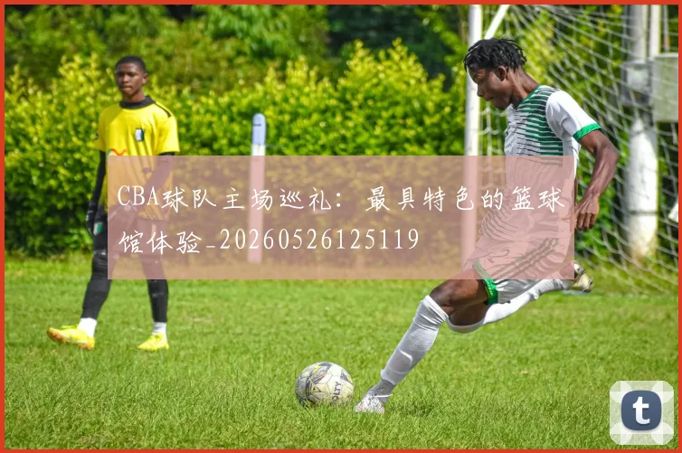 CBA球队主场巡礼：最具特色的篮球馆体验_20260526125119