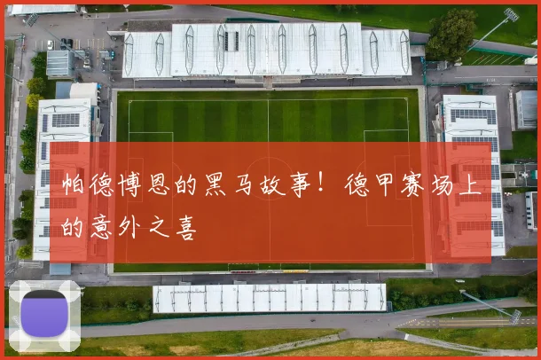 帕德博恩的黑马故事！德甲赛场上的意外之喜